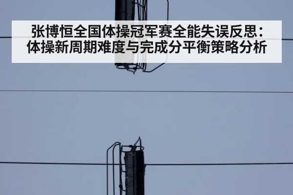张博恒全国体操冠军赛全能失误反思:体操新周期难度与完成分平衡策略分析