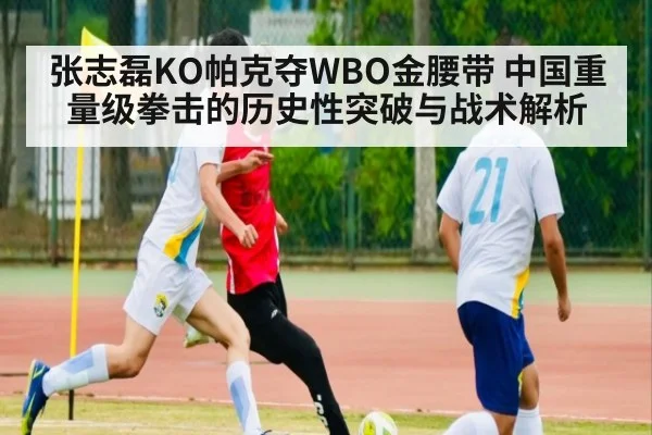 张志磊KO帕克夺WBO金腰带 中国重量级拳击的历史性突破与战术解析